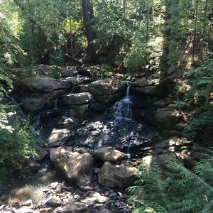 Meet your Posher, Sophia